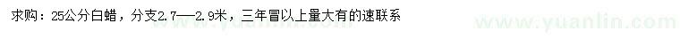 求購(gòu)25公分白蠟