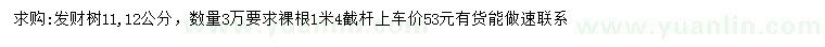 求購11、12公分發(fā)財樹