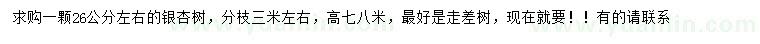 求購26公分左右銀杏
