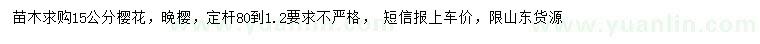 求購15公分櫻花、晚櫻