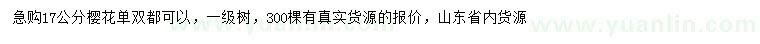 求購17公分櫻花