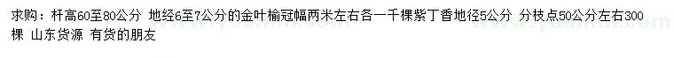 求購地經(jīng)6至7公分金葉榆