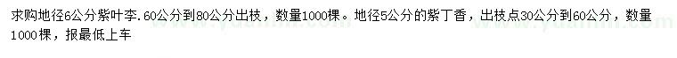 求購地徑6公分紫葉李