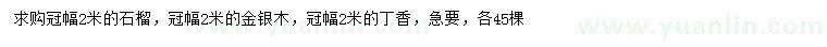 求購冠幅2米石榴