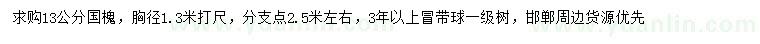 求購13公分國槐
