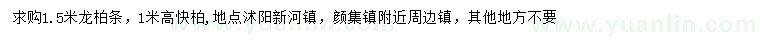 求購1.5米龍柏條