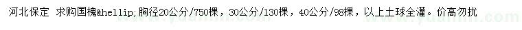 求購(gòu)胸徑20公分國(guó)槐