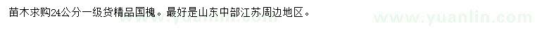 求購24公分一級貨精品國槐