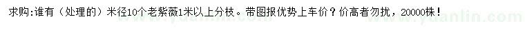 求購米徑10個(gè)老紫薇