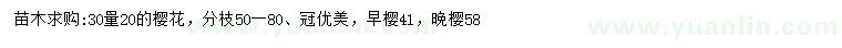 求購(gòu)30量20公分櫻花