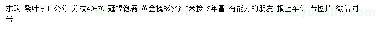 求購(gòu)11公分紫葉李