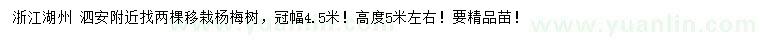 求購冠幅4.5米移栽楊梅
