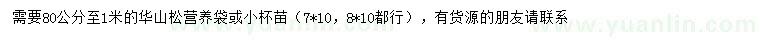 求購80-100公分華山松