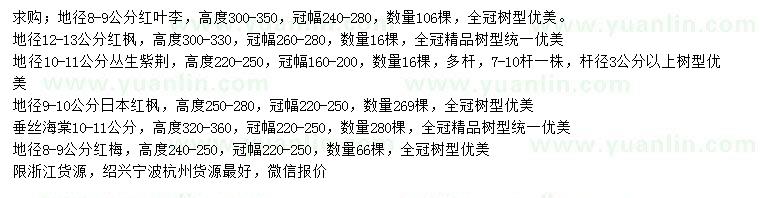 求購(gòu)紅葉李、紅楓、叢生紫荊等