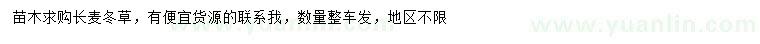 求購長麥冬草