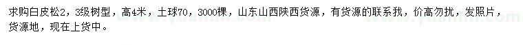 求購高4米白皮松