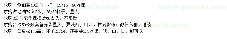 求購(gòu)側(cè)柏、油松、皂角等