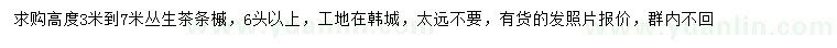 求購高度3-7米叢生茶條槭