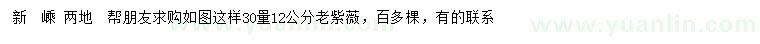 求購30量12公分老紫薇