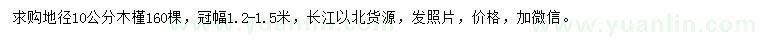 求購地徑10公分木槿