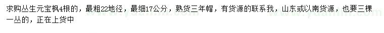 求購地徑17-22公分叢生元寶楓