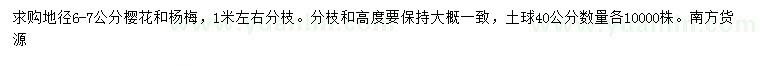 求購(gòu)地徑6-7公分櫻花、楊梅樹