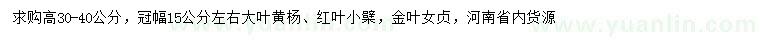求購大葉黃楊、紅葉小檗，金葉女貞等小苗