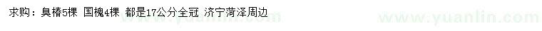 求購17公分臭椿、國槐