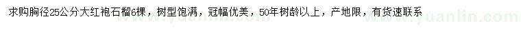 求購胸徑25公分大紅袍石榴