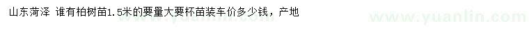 求購1.5米柏樹苗