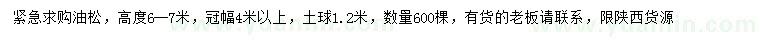 求購(gòu)高度6-7米油松