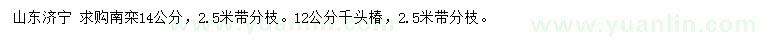 求購14公分南欒、12公分千頭椿