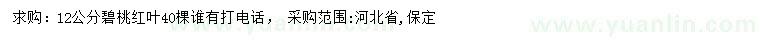 求購12公分碧桃紅葉
