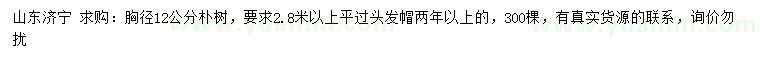 求購胸徑12公分樸樹