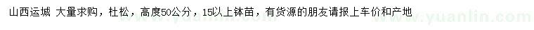 求購高度50公分杜松