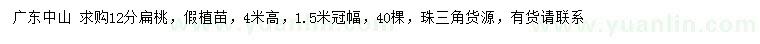 求購12公分扁桃假植苗