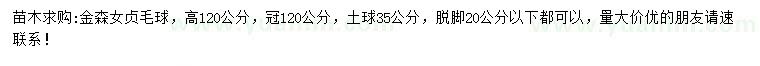 求購高120公分金森女貞毛球