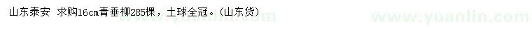 求購16公分青垂柳