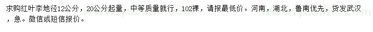 求購20公分起量地徑12公分紅葉李