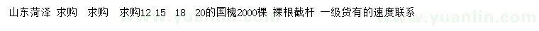 求購(gòu)12、15、18、20公分國(guó)槐