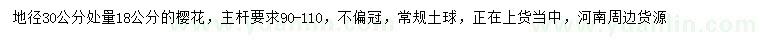 求購(gòu)30量18公分櫻花