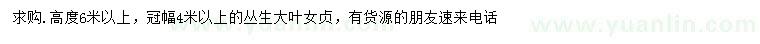 求購(gòu)高6米以上叢生大葉女貞