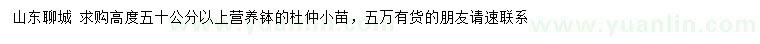 求購高度50公分以上杜仲小苗