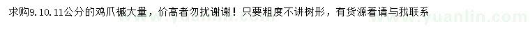 求購9、10、11公分雞爪槭