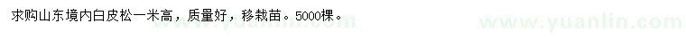 求購高1米白皮松