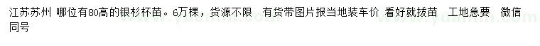 求購(gòu)高80公分銀杉小苗