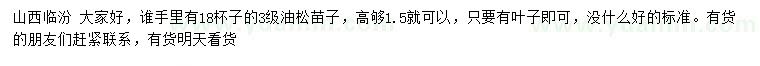 求購(gòu)高1.5米油松苗子