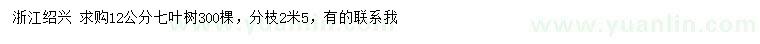 求購12公分七葉樹