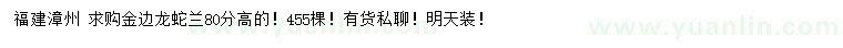 求購高80公分金邊龍蛇蘭