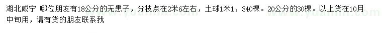求購18、20公分無患子